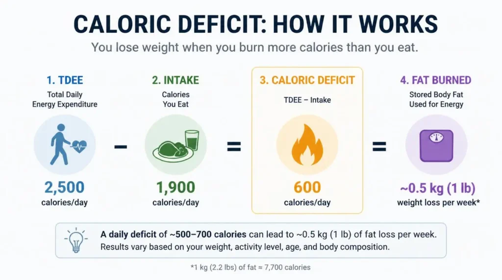 Infográfico sobre perda de peso com déficit calórico: como funciona